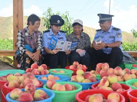 甘肃永靖县：丰收季，“护桃”警务在线